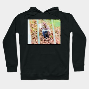 Skunk in the Forest Hoodie